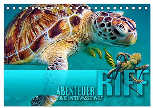 Abenteuer Riff - bunte Unterwasserwelt (Tischkalender 2025 DIN A5 quer), CALVENDO Monatskalender