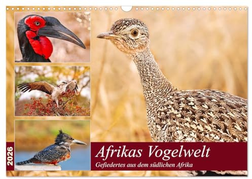 Afrikas Vogelwelt 2026 (Wandkalender 2026 DIN A3 quer), CALVENDO Monatskalender: Gefiedertes aus dem südlichen Afrika (CALVENDO Tiere)