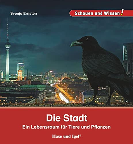 Die Stadt: Schauen und Wissen!
