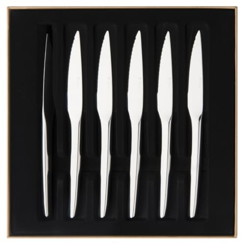 GUY DEGRENNE Guest Coffret 6 Couteaux à Steak Inox | Coffret 6 Couteaux à Steak Monobloc en Acier Inoxydable, Lame Scie pour une Découpe Nette des Viandes