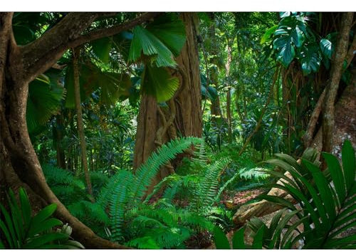 Forest Terrarium Background Tropical Rainforest Aquarium Background Huge Tree Rainforest Reptile Habitat Background Green Leaves Plants Aquarium Background Backdrop Durable Vinyl 72x24in