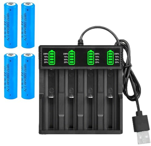 KBIBCK 18650 Battery Charger with 2 Pcs 3.7V 2200mAh Batteries, Battery Charger Set with LCD Display, USB Battery Charger, Battery and Charger Set for 18650 & Other Li-ion RechargeableBattery (4 Slot)