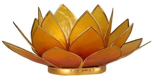 Capiz Lotus Licht Orange/Gelb Goldrand - 13.5 cm
