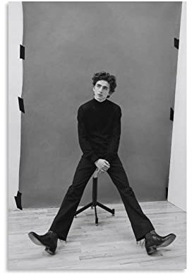 The Actor Timothee Chalamet Daze Poster Wandkunst Poster Drucke Heimdekoration Bild Leinwand Malerei Poster 30 x 45 cm