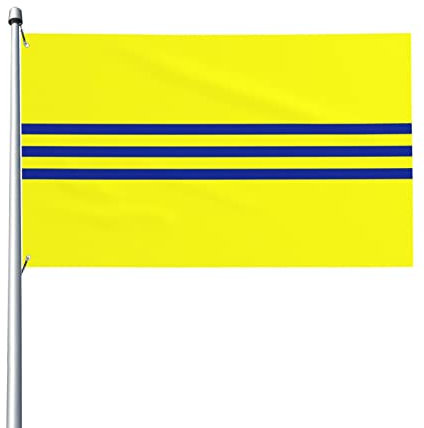 Drapeaux imprimés à rayures jaunes et bleues de 0,9 x 1,5 m, couleurs vives, drapeaux de décoration de jardin, bannière, œillets métalliques durables, ne se décolorent pas, intérieur et extérieur
