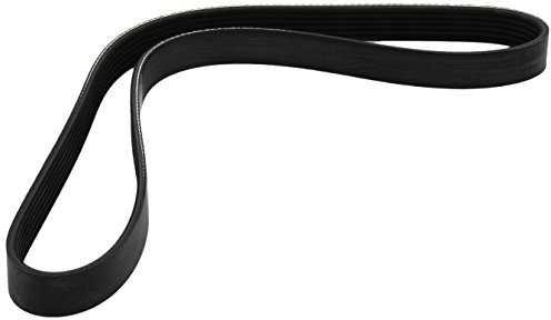 Dayco 6PK955 Poly Rib Belt