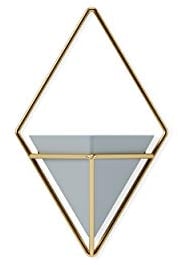 Umbra Trigg Hänge-Pflanzgefäß Vase & Geometrische Wanddekoration Behälter für Sukkulenten, Luft, Mini-Kakteus, Kunstpflanzen und mehr, Grau/Messing, klein