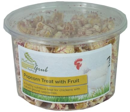 Natures Grub Popcorn Treat With Fruit (6 Pack)