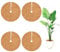 Disco de Fibra de Coco para Plantas, Alfombrillas de Mantillo de Coco, Estera para Plantas en Maceta Protegen árbol Raíces Plantas Protección contra el Frío a Prueba de Heladas (30cm 4pcs)