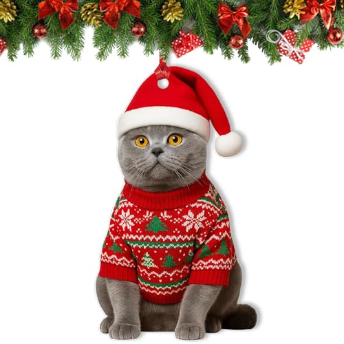2024 Weihnachtsschmuck (Britisch Kurzhaar)