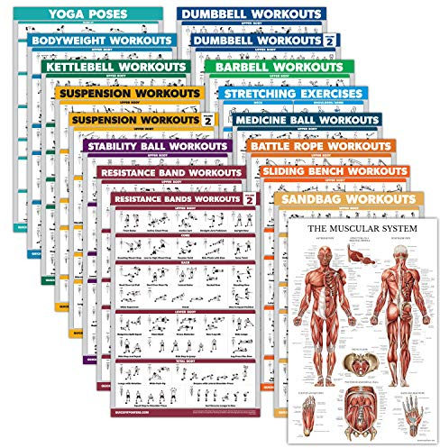 Übungsposter-Set: Hantel, Aufhängung, Kugelhantel, Muskulatur, Medizinball, Kampfseil, Widerstandsbänder, Stretching, Körpergewicht, Langhantel, Yoga und mehr (laminiert, 45,7 x 61 cm)