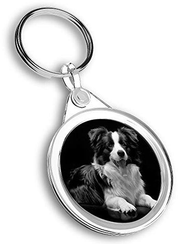1 x Foto-Schlüsselanhänger – schwarzer Border Collie Bauernhof Hund Welpe | Schlüsselanhänger | Charm | #42717
