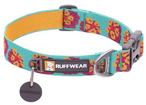 RUFFWEAR Flat Out Collar, Klassisches Hundehalsband für Kleine Hunderassen, Einstellbare Passform, Größe S (28-36 cm), Spring Burst
