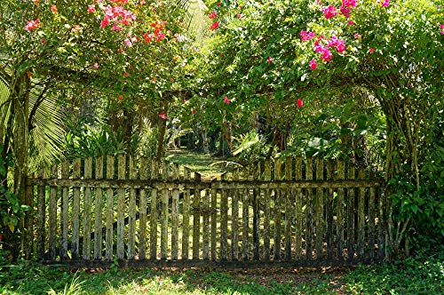 GARTEN Fototapete VLIES-450x280 cm (3338A)-Blumen Natur Orchideen Blüten Tropisch Dschungel Wandtapete-Inkl. Kleister-Vliestapete Bild Dekoration Wand-Dekor Moderne Motiv-Tapete Panorama Poster XXL
