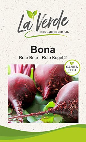 Bona Rote Bete Samen