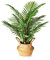 Kazeila Kunstpflanze Palme Groß 70cm Kunstpalme Fake Plastik Pflanze Künstliche Pflanzen Areca Palme für Dekoratives Wohnzimmer Wohnung Balkon Büro(1Pack)