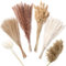 ZJTAPE Pampasgras - 130 Stück Natürliche Trockenblumen Deko, Getrocknete Blumen Dried Flowers, Lagurus Getrocknet Trockenblumenstrauß für Hochzeit Tisch Wohnzimmer Vasen Boho Home Dekor