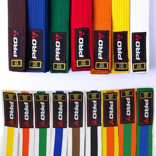 Pro4 Budo Gürtel 1 oder 2 farbig für Kampfsport Karate TKD Kickboxen Judo Jiu Jitsu 220 240 260 280 300 oder 320cm (weiß-gelb, 300cm)