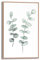 REINDERS Gerahmtes Bild, Eukalyptus, Küche, Bilder, Wanddeko, Room Decor, MDF, Grün, 30x20cm