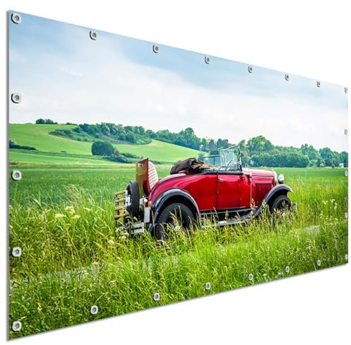 TRIOSK Sichtschutz Balkon Deko Plane Balkonblende Blickdicht mit Motiv Auto Landschaft Oldtimer Tour für Garten Terrasse Gartenzaun Balkonverkleidung Blickschutz PVC groß 200x100 cm