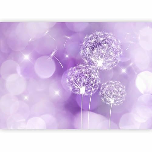 Fotomurales B&D XXL Diente de leon 300x210 cm Papel pintado tejido no tejido Decoración de Pared decorativos Murales moderna Diseno Fotográfico Flores Naturaleza b-C-0111-a-c