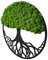 Hello Moss Wanddeko Moosbilder in Form Eines Baumes - Schön Aussehender Wand Baum - Bringen Sie Leben in Ihre Wohnung - Wandbild aus Natürlichen Rohstoffen und Deko Moos
