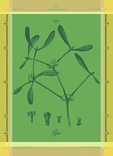 Garnier Thiebaut [W] GESCHIRRTUECHER GUI BOTANIQUE VERT 56 X77CM 100% Baumwolle