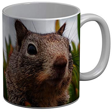 Fabulous Mug Céramique Marmotte Dans L'Herbe Animal Sauvage Mignon Photo Nature