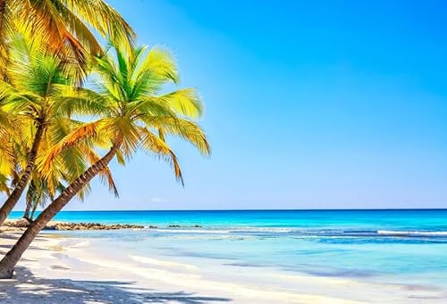 ASDCXZ Strand Hintergrund 3x2.5m, Sommer Tropisch Am Meer Palmen Fotowand Hintergrund, Vinyl Fotobox Hintergrund für Geburtstag Baby Dusche Hawaii Thema Party, Portrait Fotostudios Hintergründe