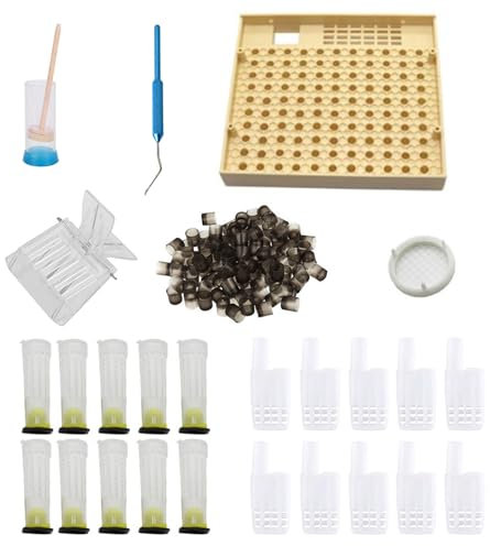 Bees Tools Cages King Queen Tasse d'élevage Apiculture Cages Cage Nicot Brood