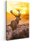 MuchoWow© Wandbilder 60x90 cm Schlafzimmer Home Deko Wohnung Bild Wohnzimmer Fotoleinwand Wand Bilder Leinwand Wall Decor Hirsch - Rotwild - Reh - Tiere - Sonnenuntergang - Winter - Natur