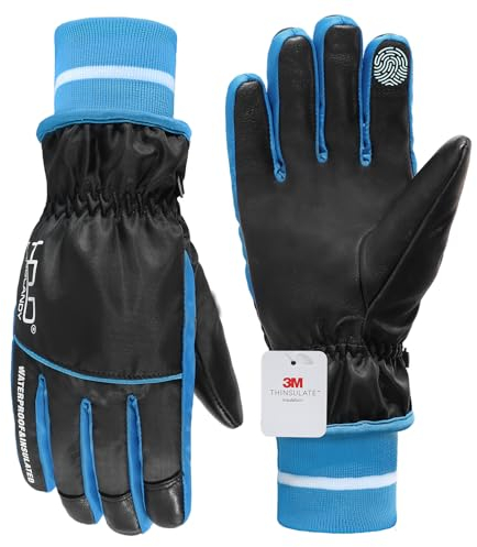 HANDLANDY Wasserdichte Skihandschuhe für Herren und Damen, Touchscreen-warme Winter-Arbeitshandschuhe, 3M Thinsulate, isolierte Thermo-Schneehandschuhe (Schwarz, L)…