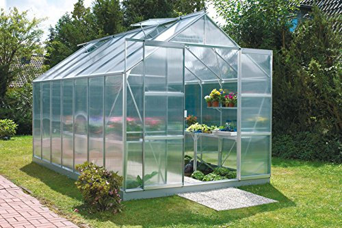 Vitavia Gewächshaus Mars - Ausführung: 11500 HKP 6 mm Alu, Fläche: ca. 11,5 m², Fenster: 2, Maße: 257 x 445 cm, Sockel: 255 x 441 cm,