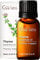 Gya Labs Ätherisches Thymianöl für Haare für Haare - 100% Reines Natürliches Thymianöl für die Haut, Diffusor, Körper & Kerzenherstellung (10 ml)