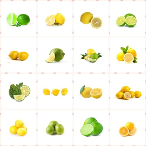 75 pcs mini zitronenbaum samen säulenobstbäume lemon tree - zitrone Citrus limon obstbaum gewächshaus balkon bohnenkraut pflanze säulenobst deko pflanzen anzucht spezielle samen spalierobst