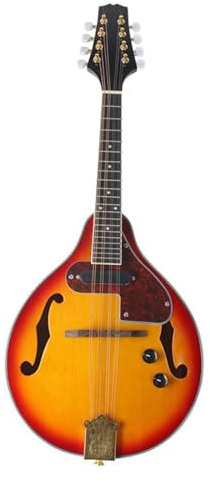 Mandolin Electric Box Mandolin 8-string Electric Mandolin Folk Instrument Electric Mandolin Mandola
