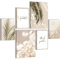 Novart Bilder Set - AUFHÄNGFERTIG - KEIN EXTRA RAHMEN BENÖTIGT - Boho Pampasgras Modern Beige - Wohnzimmer Schlafzimmer N005863a