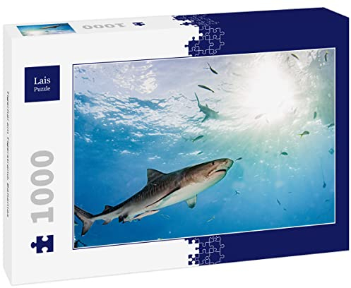 Lais Puzzle Tigerhai am Tigerstrand, Bahamas 1000 Teile