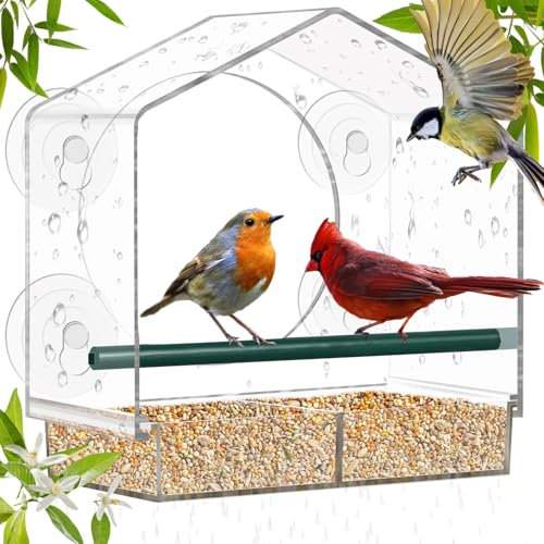 Mangeoire à oiseaux pour fenêtre, grande mangeoire à oiseaux, fenêtre, avec cassette de nourriture amovible