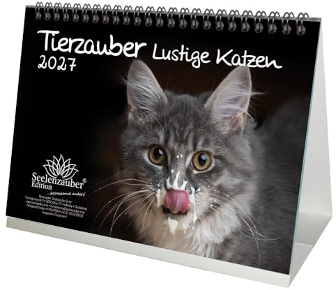 Tierzauber Lustige Katzen DIN A5 Tischkalender für 2027 Lustige Katzen - Seelenzauber