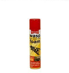Wasp Nest Destroyer Foam