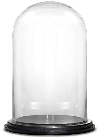 CYS EXCEL Glass Dome, Cloche Bell Jar Terrarium Showcase Piece, Decorative Display Case
