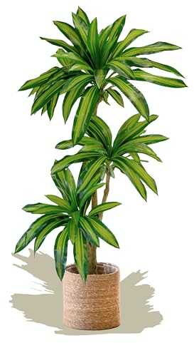 Maia Shop | Drachenbaum Künstlich | Kunstpflanzen | Dracaena | Maße: 170 x 90 cm | Künstliche Pflanzen | Fake Plant | Plastik Pflanze | Deko | Deko Wohnzimmer
