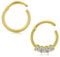 Briana Williams 2stk Gold Segmentring Clicker Septum Nasenring 16G Edelstahl 8mm Hoop Tragus Helix Piercing Ring
