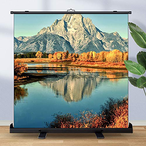 ZEELYDE Projector Screen,Projection Screen, Self-Standing Pull-Out Style Indoor and Outdoor Home Theater-4:3/16:9 Compatible, Suitable for Home Theater School Meeting Room
