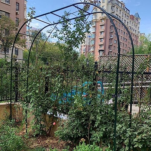 Arche de jardin en métal pour plantes grimpantes - Résistant aux intempéries - Pergola en fer forgé - Noir - 1,2 x 2,2 m