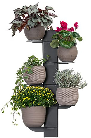 ALUBOX HYDRA Fioriera Da Parete A Colonna 83,5X43,5X20 cm Porta Vasi Da Parete Con Telaio In Alluminio E 15 Mensole In Lamiera Zincata Fioriera Da Interno Esterno 6 Kg Made In Italy (ANTRACITE)