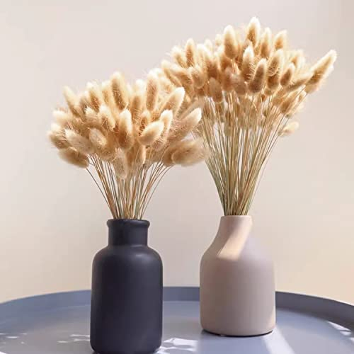 120Pezzi Bunny Tails Bouquet Coda Di Coniglio Naturale Bouquet Di Fiori Secchi Di Erba Di Pampa per Fiori Secchi Decorazione Camino Casa Cucina Chiesa Tavolo Decorazione Boho Nozze Decor（Naturale）