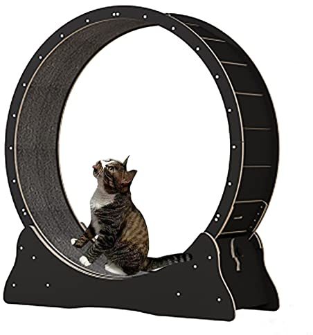 Katzenlaufrad Schwarzes Katzenlaufband aus Holz, verschleißfestes Katzenübungsrad/Katzen-Abnehmgerät, Kletterspinnrad für kleine/mittlere/große Katzen (Größe: Innendurchmesser 80 cm (31,5 Zo