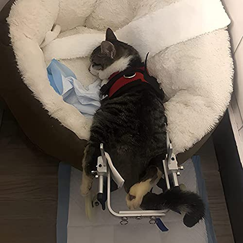 GagalU Haustierrollstuhl für Hunde, Katzen, Kaninchen, Rollstuhl für Die Rehabilitation Der Hinterbeine, Wagen für Ältere Hunde Oder Hunde mit Mobilitätsproblemen, Leicht und Verstellbar